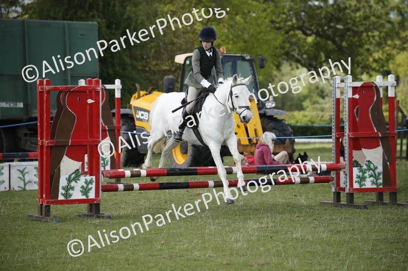 20250427-3761 - Class 14 - Absolute Novice 70cm