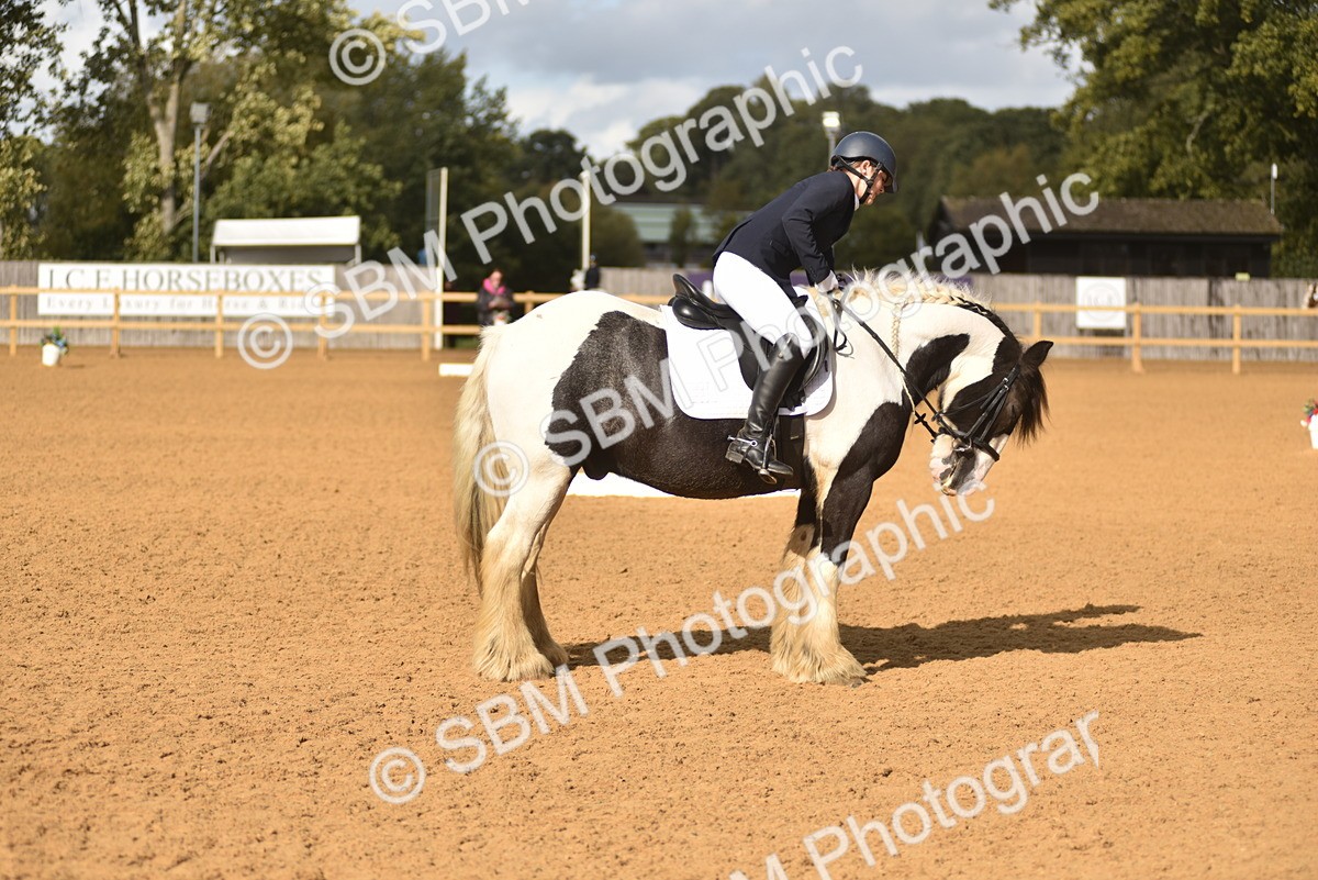 SBM_48861 - D22 - Junior Championship Intro 3