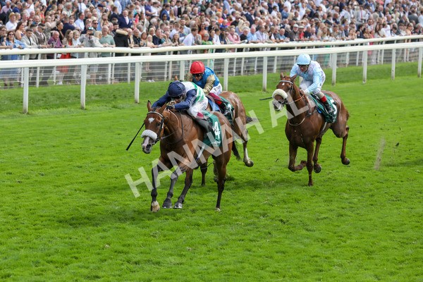250823-Race 2-Coltrane-5814 - Race 2 2.25pm Weatherbys Hamilton Lonsdale Cup Stakes
