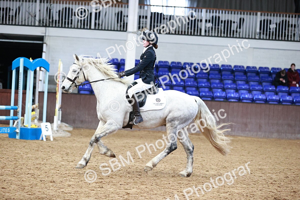 SBM_000702 - Class 2 - 80cm