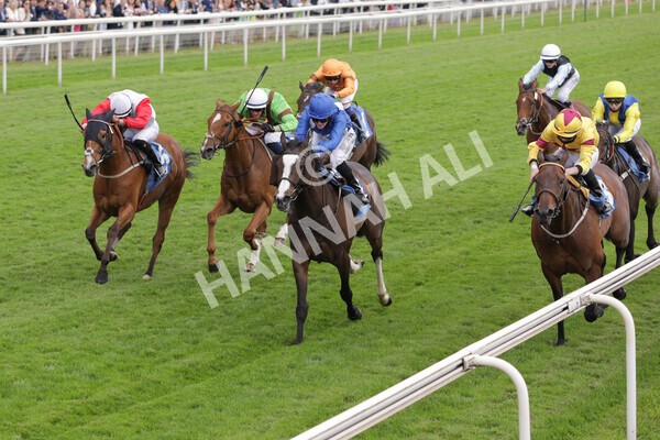 yr11062021r7-11 - Race 7 5.05pm SASH Charity Stakes