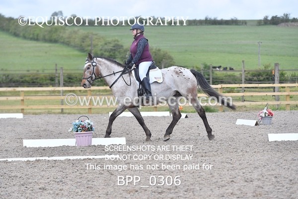 BPP_0306 - SHORT ARENA  MY QUEST PRELIM