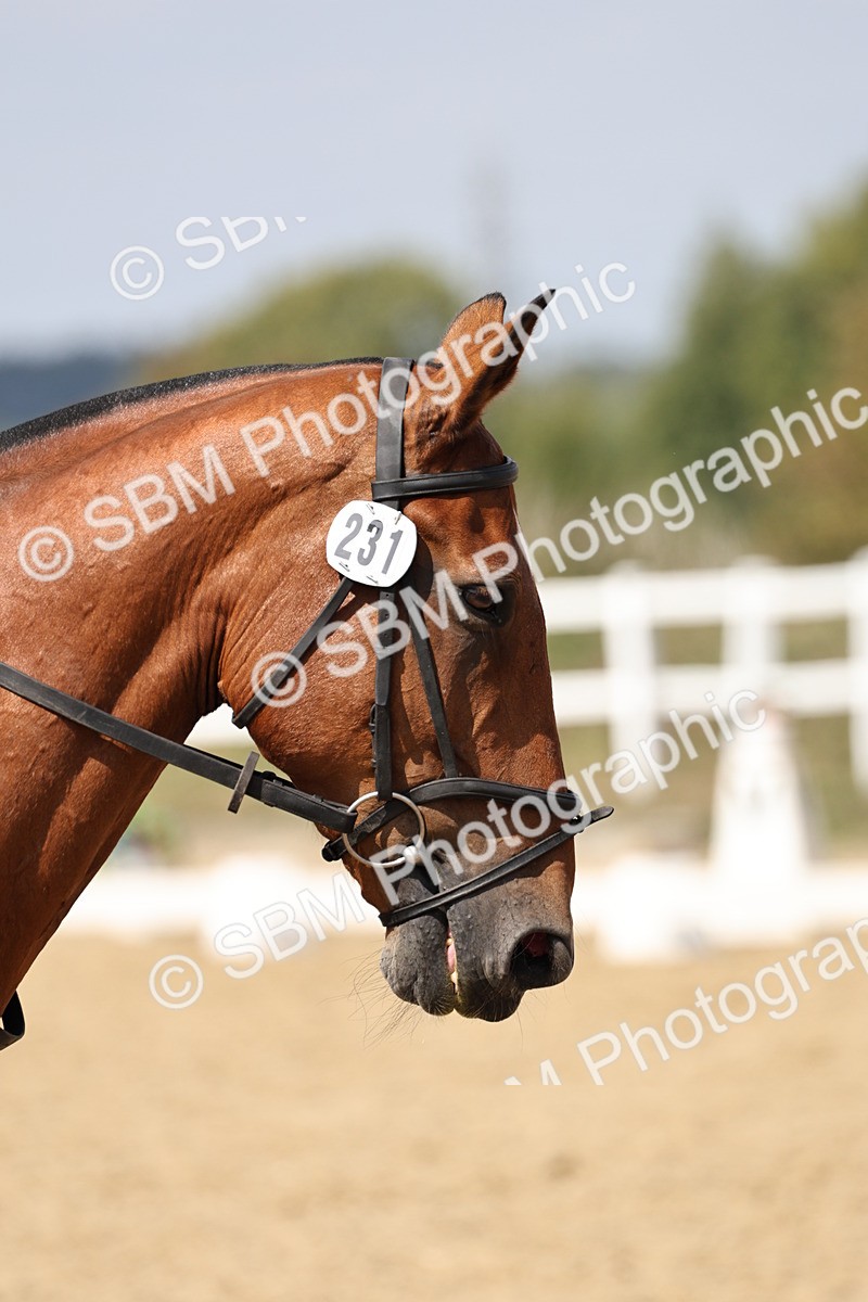 SBM_018753 - Class 16 - Novice 5 - 12.08-13.11