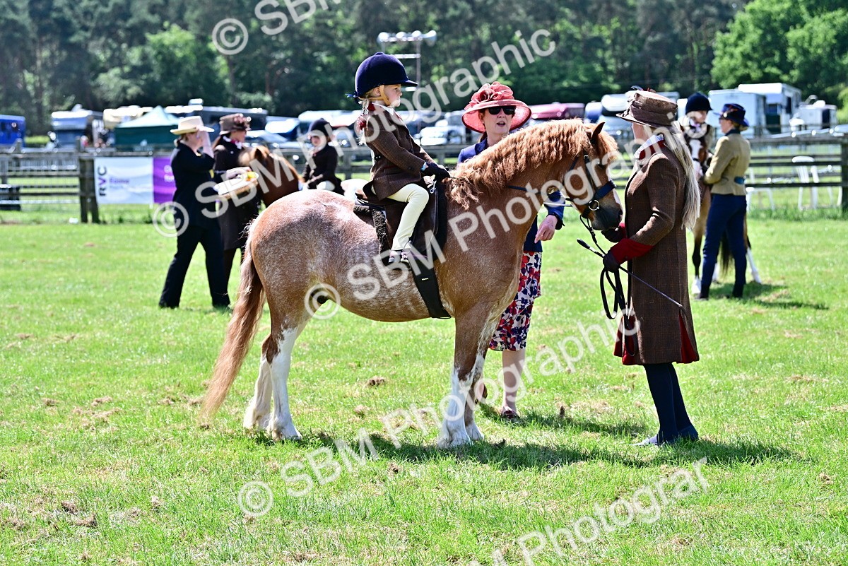 SBM_05843 - Class 59-60 - TSR M&M  Lear Rein and First Ridden Amateur of the year