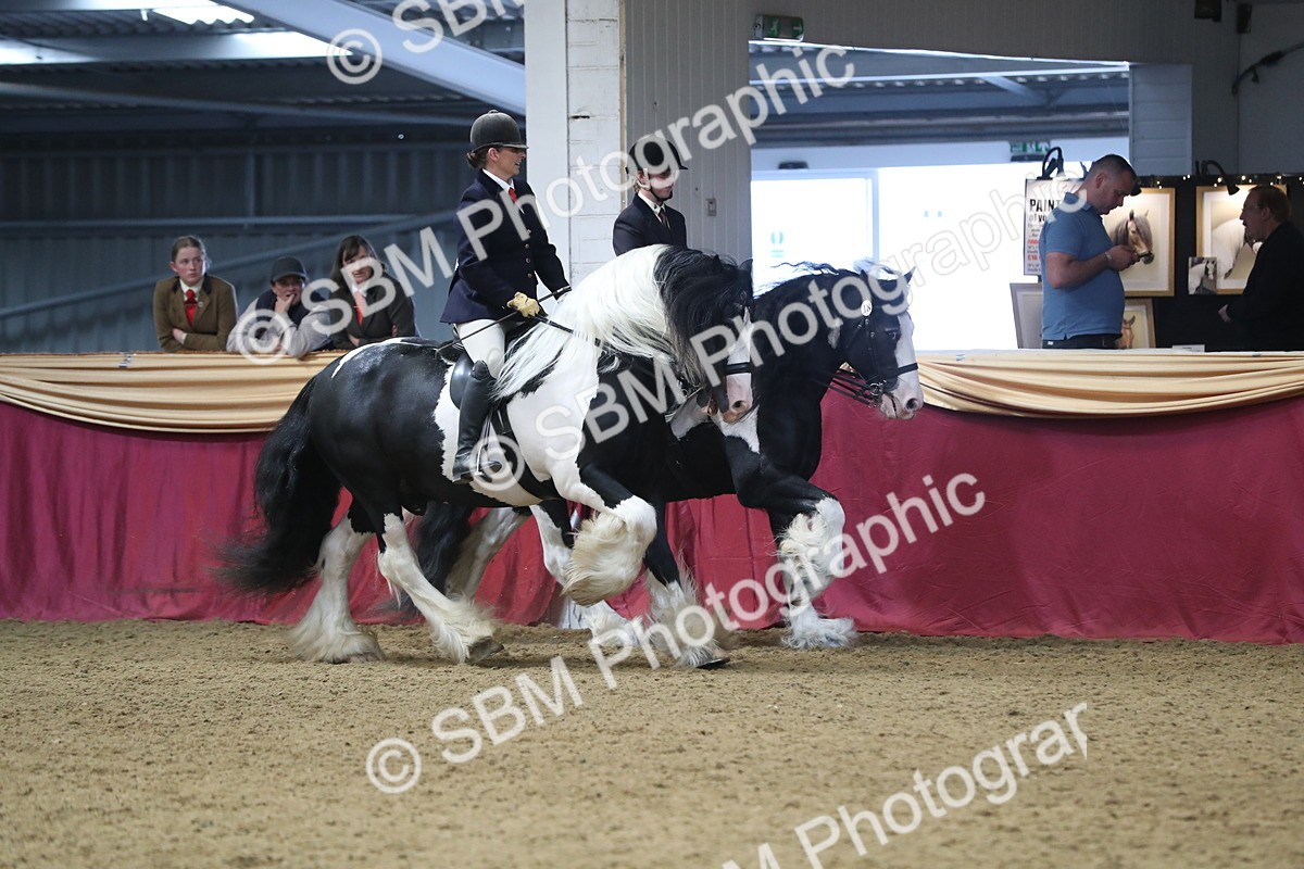 SBM_13667 - Class 109 Ridden Pairs - Section B