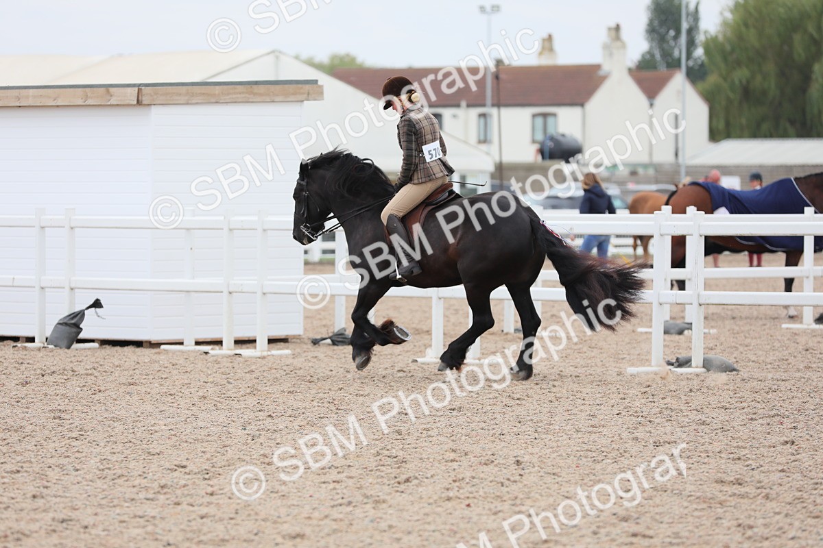 SBM_18085 - Class 316 Best Pony/Rider Combination