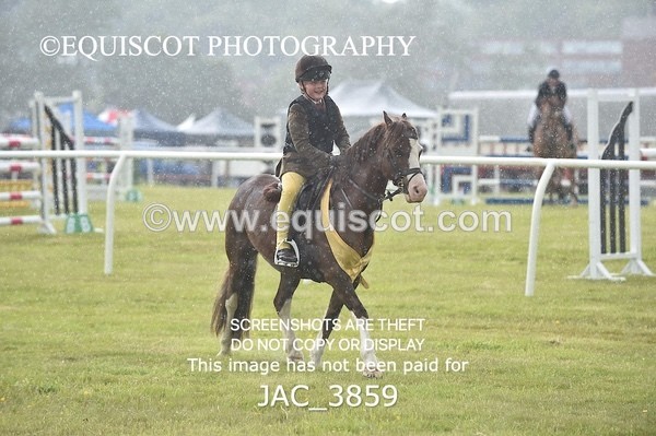 JAC_3859 - 65cm WORKING HUNTER