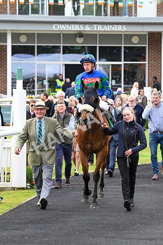160526-Race 5-Military Leader-9878 - Race 5 4.12pm Sky Bet Extra Places Handicap