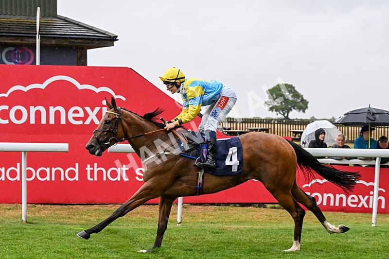 150725-Race 4-Without Flaw-0579 - Race 4