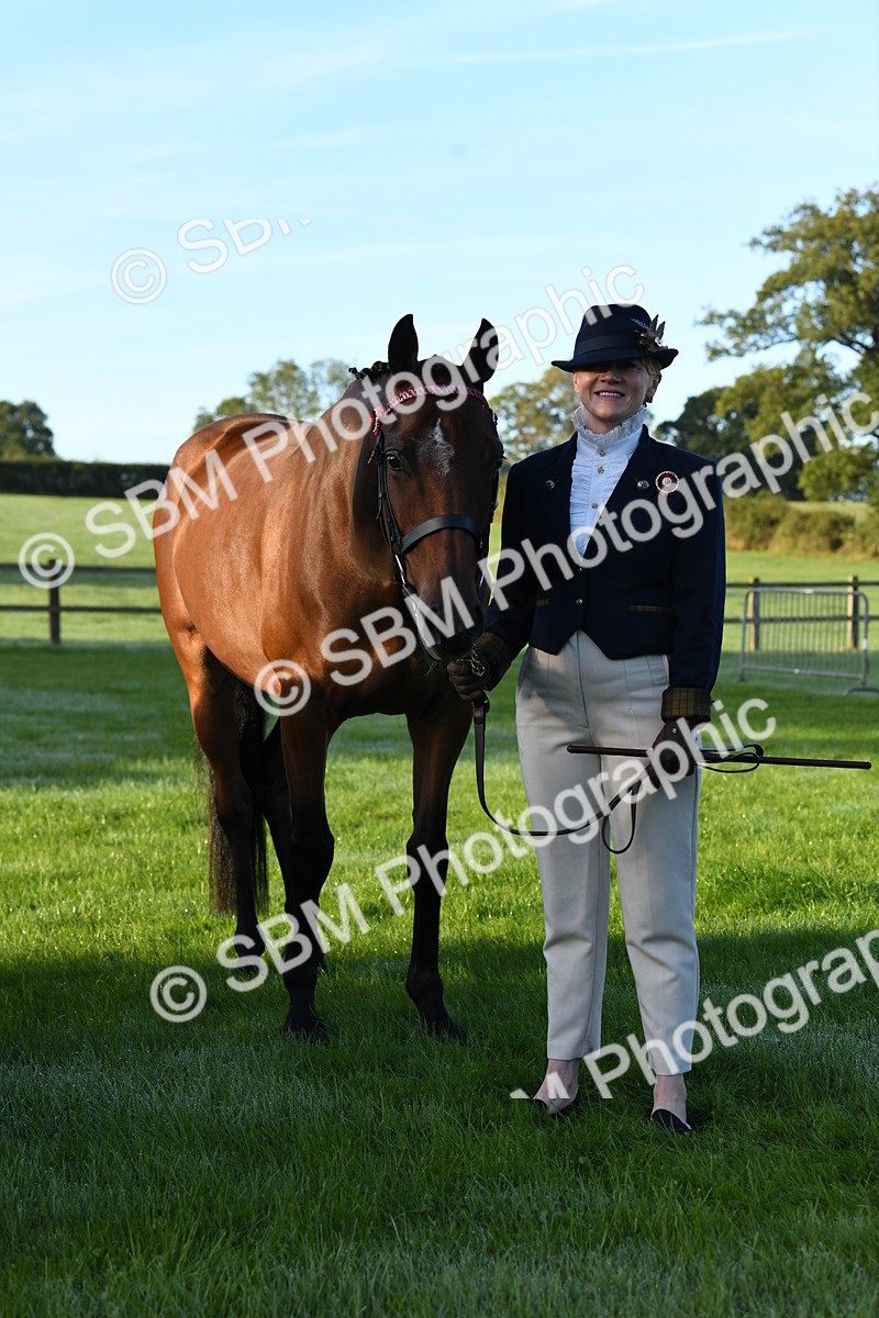 SBM_32655 - S15 - Condition & Turnout In Hand