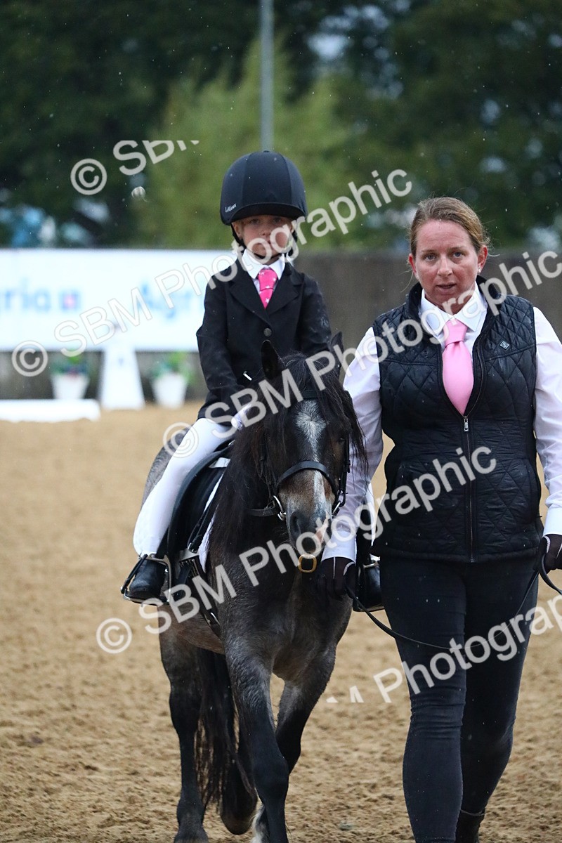 SBM_34640 - D26 - Starters Lead Rein