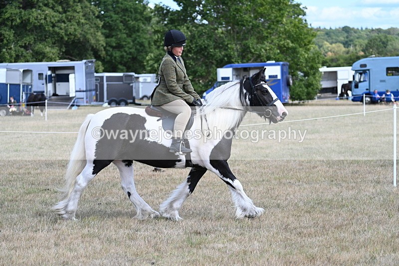 WJ7_6814 - Class 14 Ridden Coloured