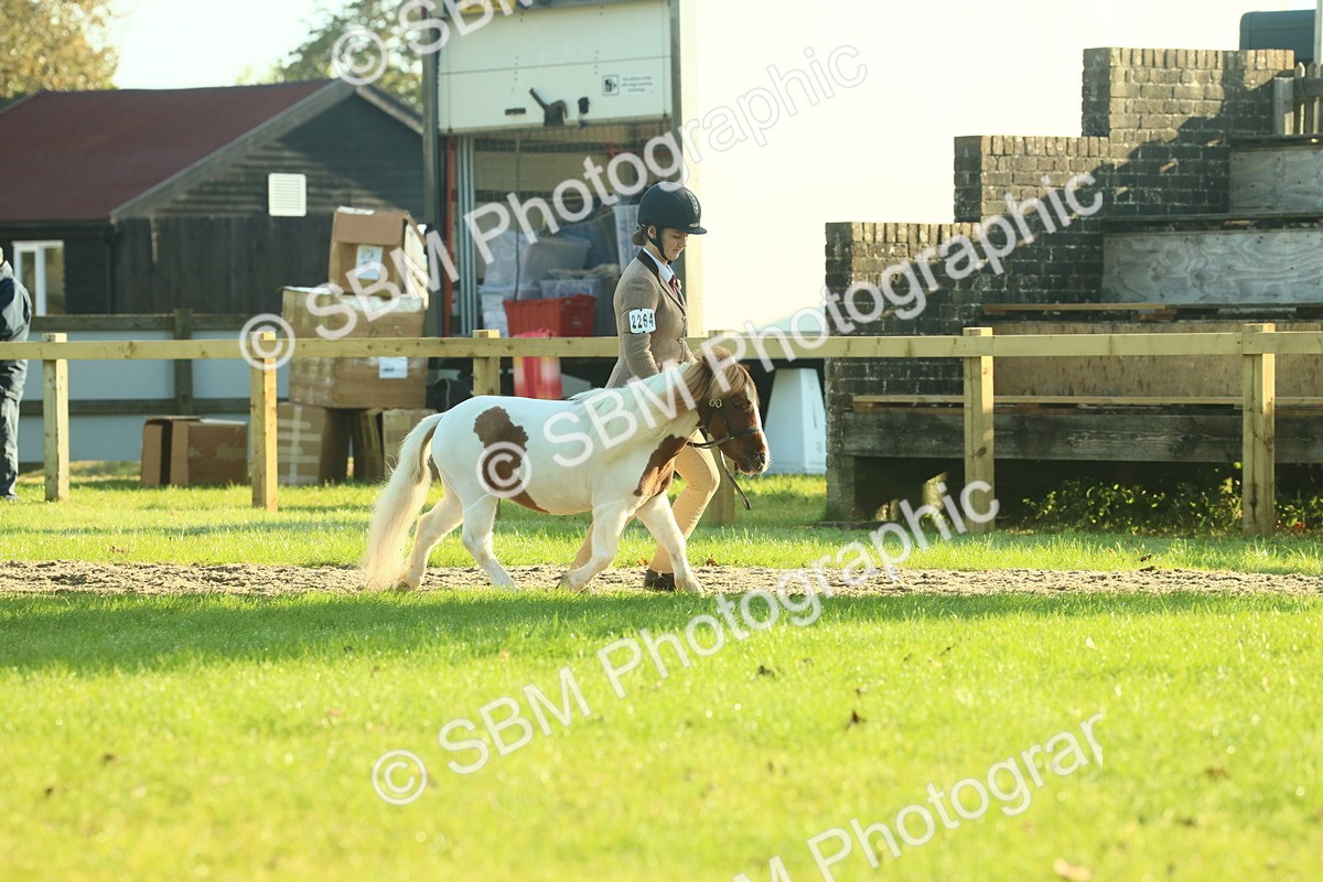 SBM_58543 - S37 - Starters In Hand Showing