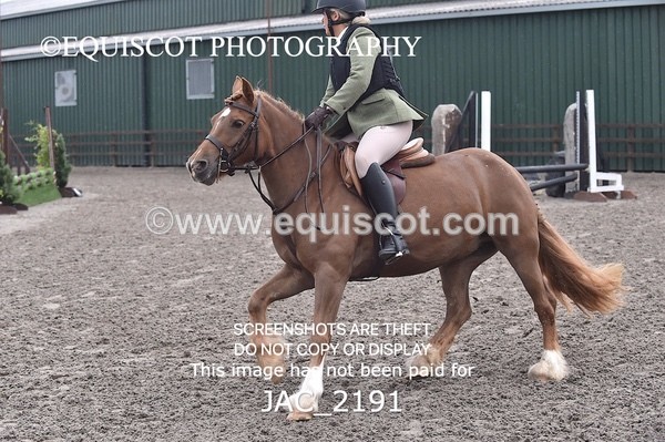 JAC_2191 - CLASS 2 Novice Working Hunter