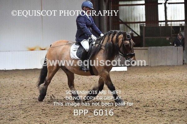 BPP_6016 - ELEM TEST 4