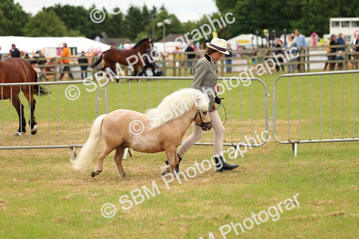 SBM_03493 - Class 58-67 - M&M Non Welsh Pony In hand