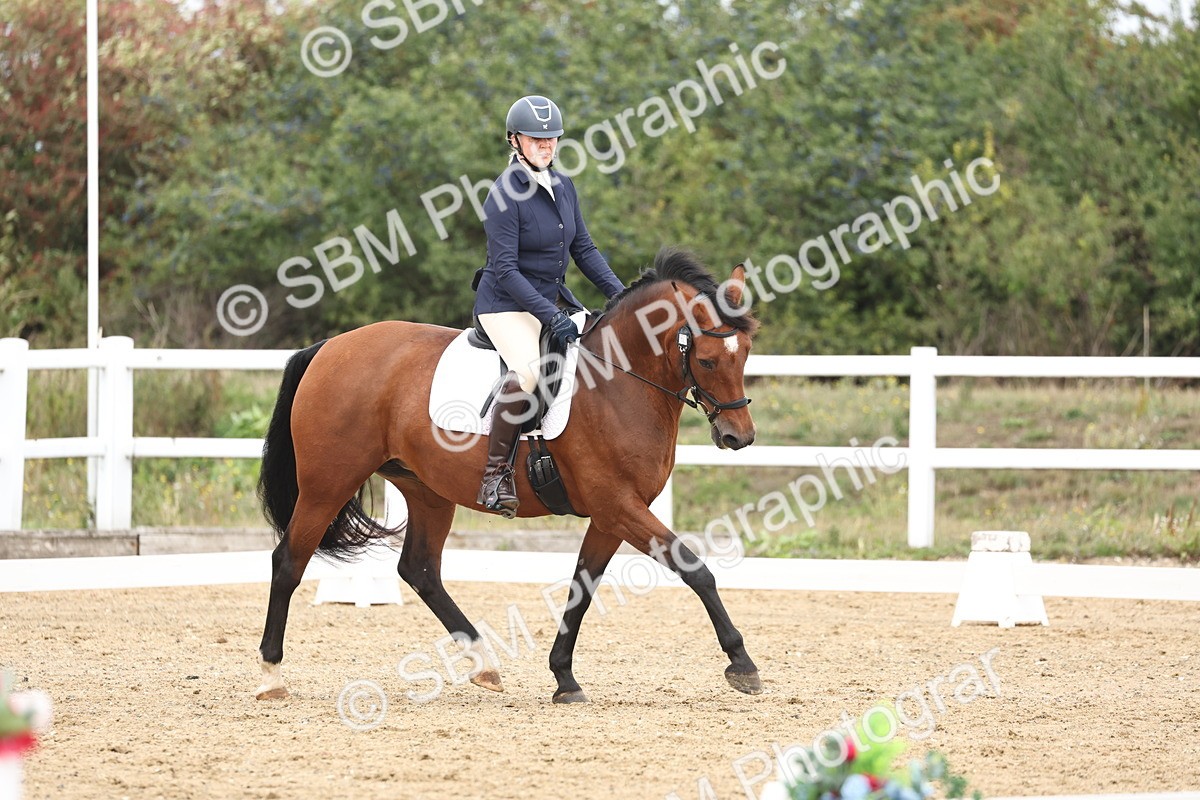SBM_002574 - Class 7 - Novice 2 Warm Up