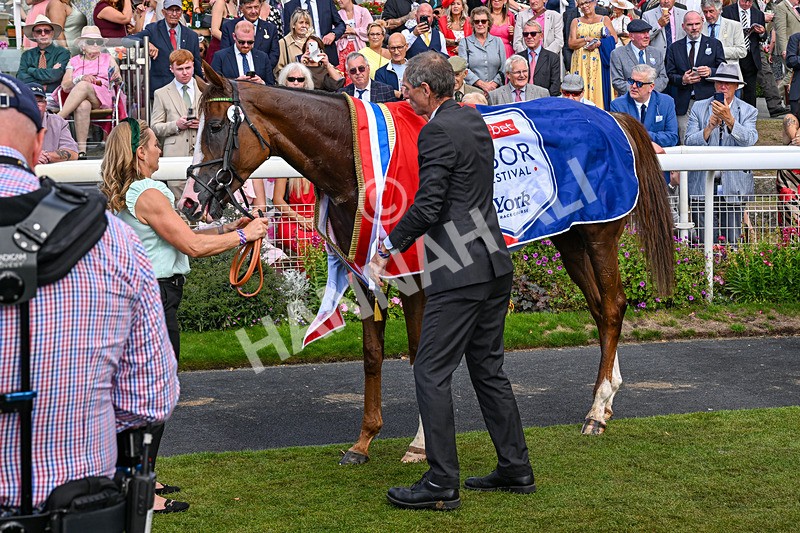 220826-Race 4-Daiquiri Bay-4384 - Race 4 15.35pm Sky Bet Ebor Handicap