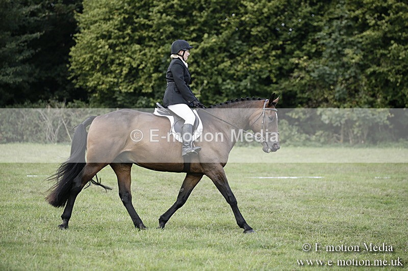 BVR090918 146 - BVRC Dressage and Show Jumping 09/09/18