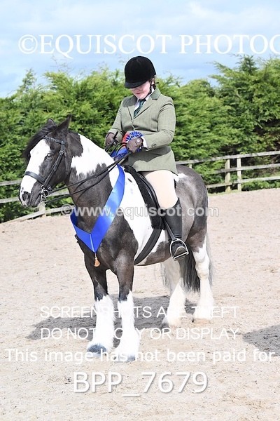 BPP_7679 - RING 1  (RIDDEN HORSES / IN HAND / VETERAN ETC)