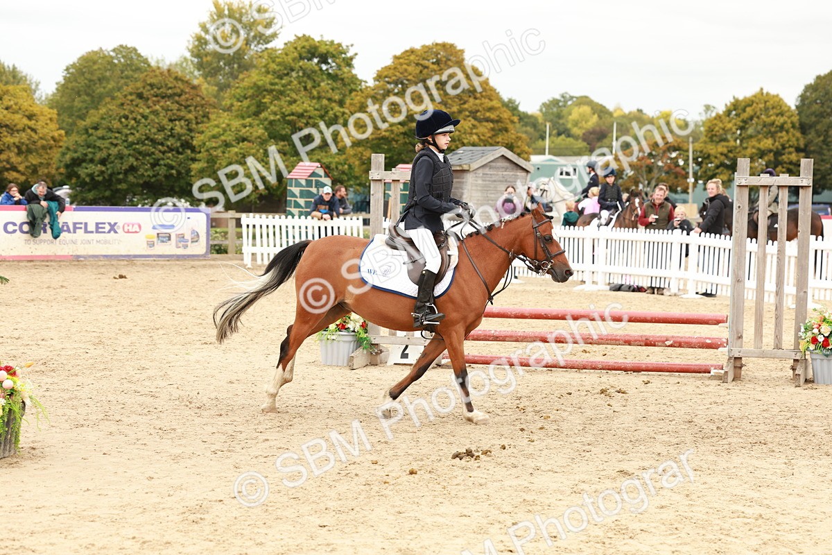 SBM_63605 - J12 - Junior Pony 55cm Championship