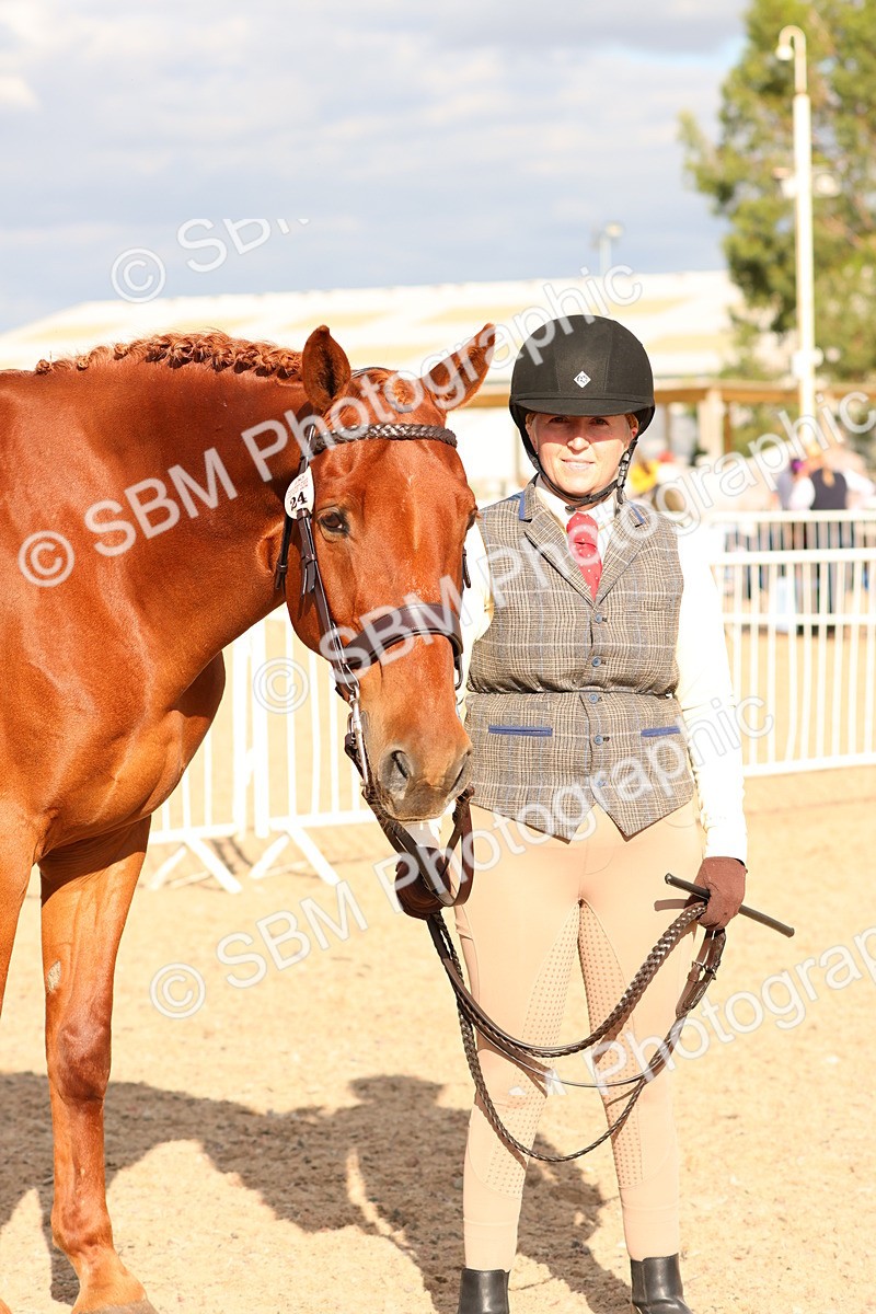 SBM_18374 - Class 318 - IH Part Bred Horse Pony