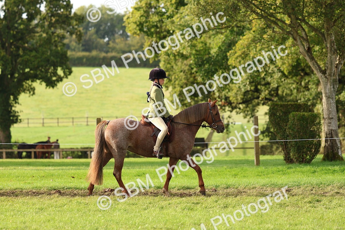 SBM_56535 - S40 - Starters Ridden Showing