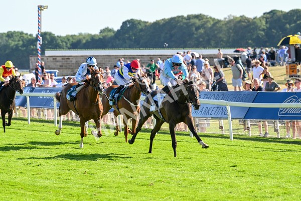 110725-Race 7-Secret Beach-4692 - Race 7 5.40pm William Hill Bet In Running Apprentice Handicap