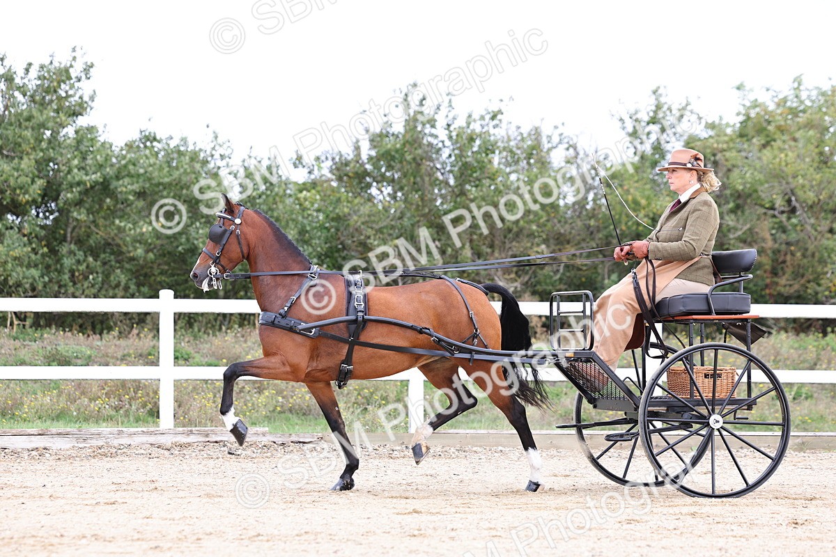 SBM_000284 - Class 2 - Exercise Vehicle 13.2hh & Under