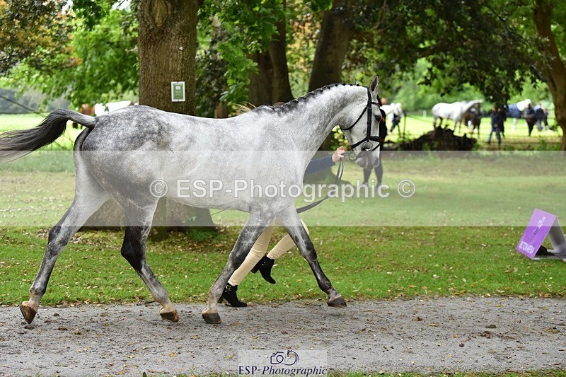 240522-160822-00736 - 155-GLOBAL_PROMISE-Ivy_Fisher