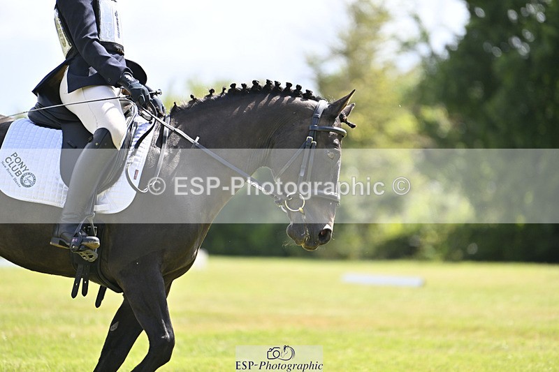 240824X-131145-26722_D80 Section E and F 1200 to 1320 - 778-981-5424