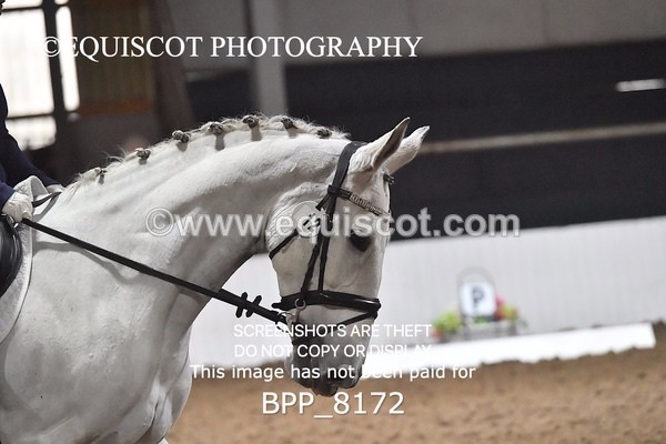 BPP_8172 - PRELIM 5 UNAFF