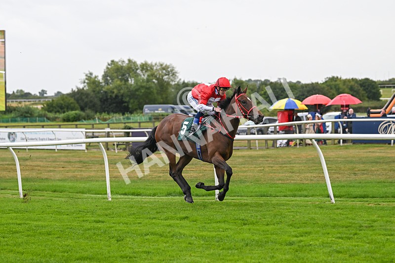 270825-Race 2-Rogue Attraction-4861 - Race 2