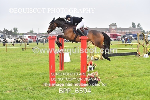 BPP_6594 - CLASS 1 Senior Newcomers/ 1.10m Open