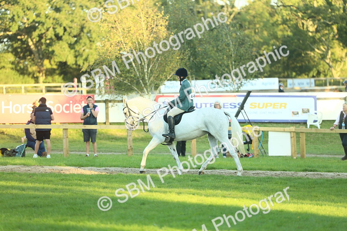 SBM_56419 - S14 - Riding Club Horse