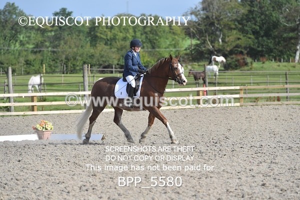 BPP_5580 - MY QUEST OPEN PRELIM TEST 1 + 2