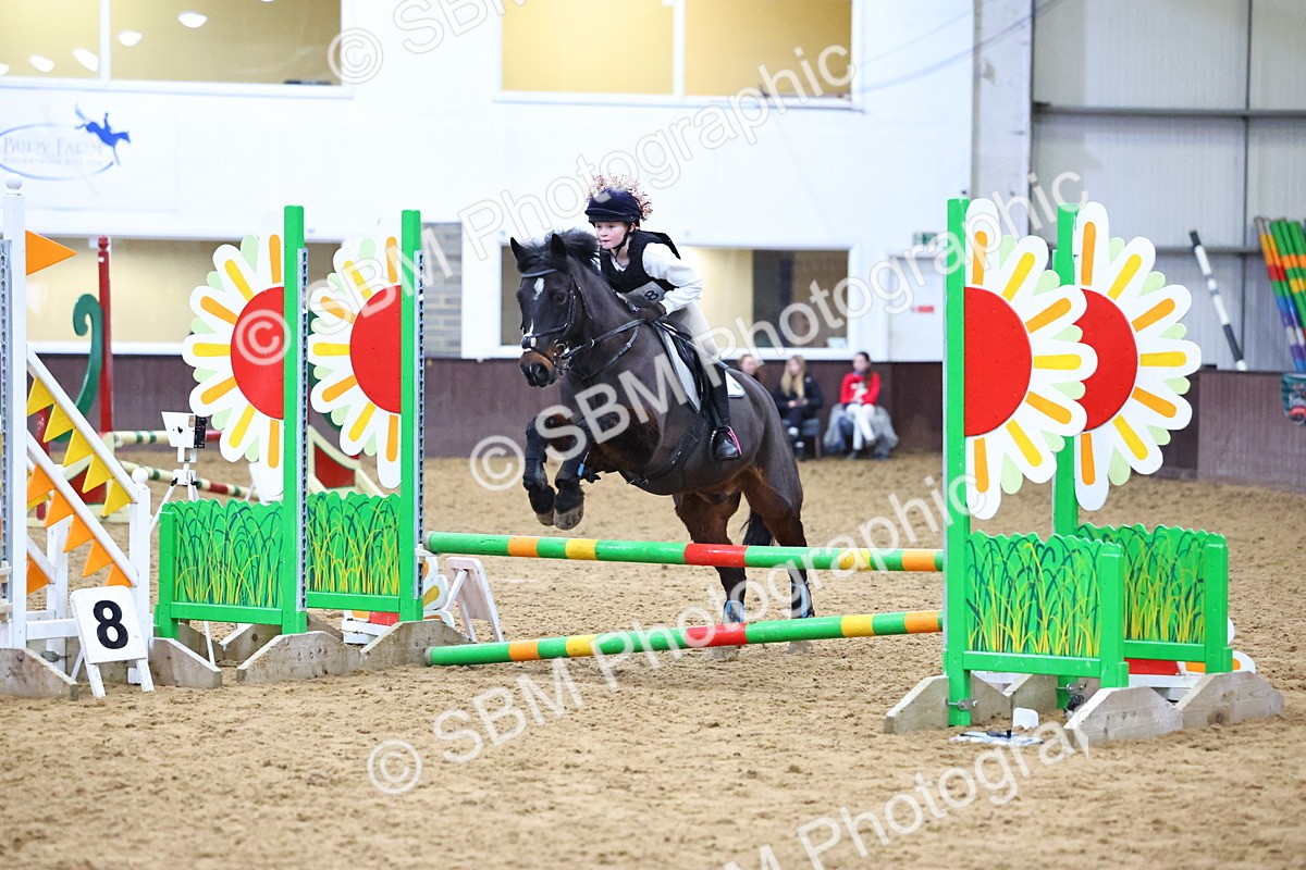 SBM_001413 - Class 3 - Christmas Tree Stakes - 60cm