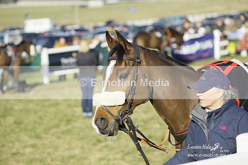 PtP 270222 402 - South & West Wilts Point-to-Point Larkhill 27/02/22
