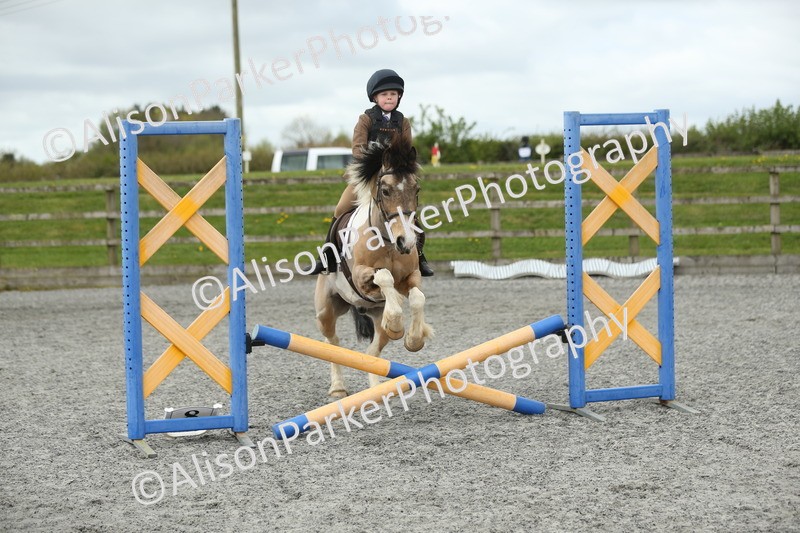 20260412-0646 - Show Jumping