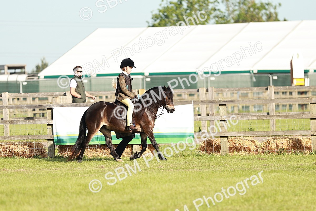 SBM_11062 - Class 106-107 - BSPS LIHS Working Sports Pony