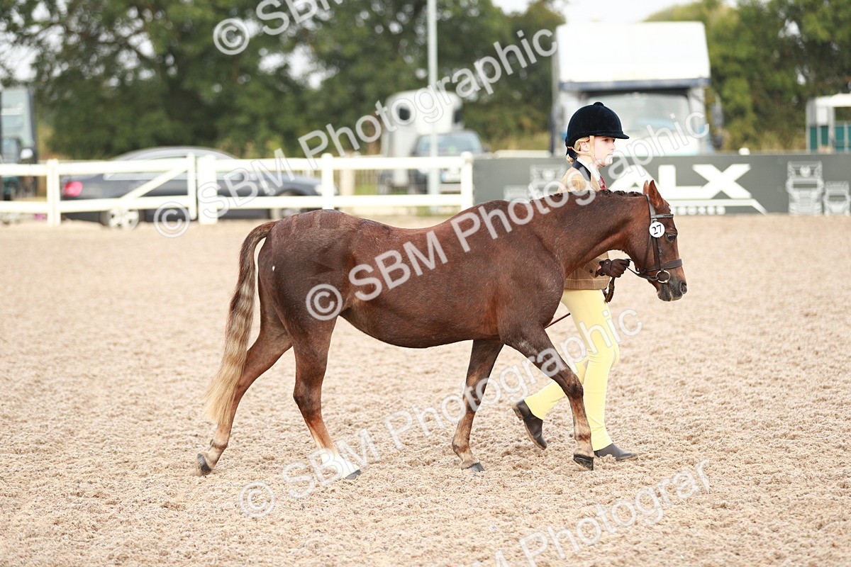 SBM_09481 - Class 201 Best Turned Out IH