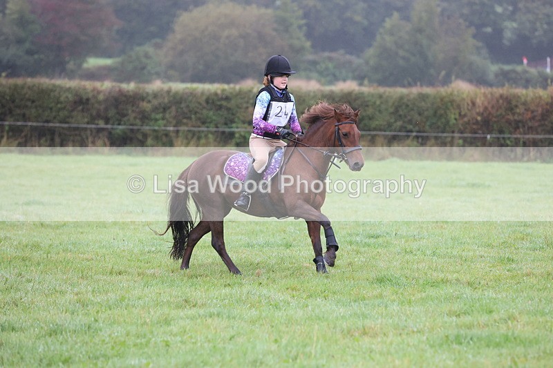 JPP_4957 - Class 1: 65cm : Showjumping