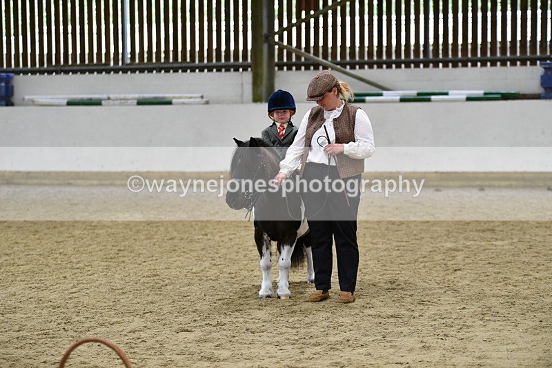 WJ5_7081 - Class 10 Childs Pony