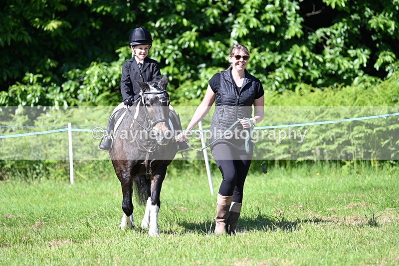 WJ7_0464 - Class 8 First Rally Pony