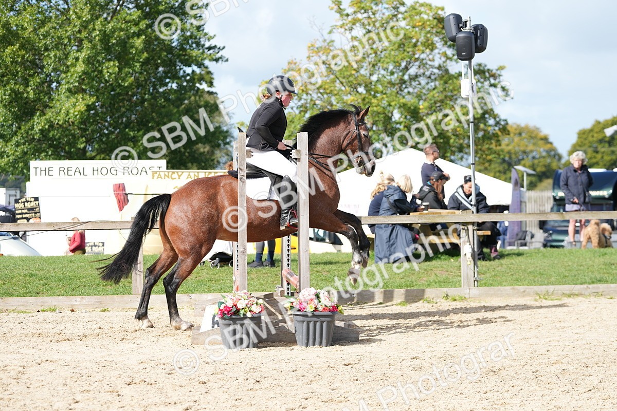 SBM_17767 - J58 - Clear Round 50cm