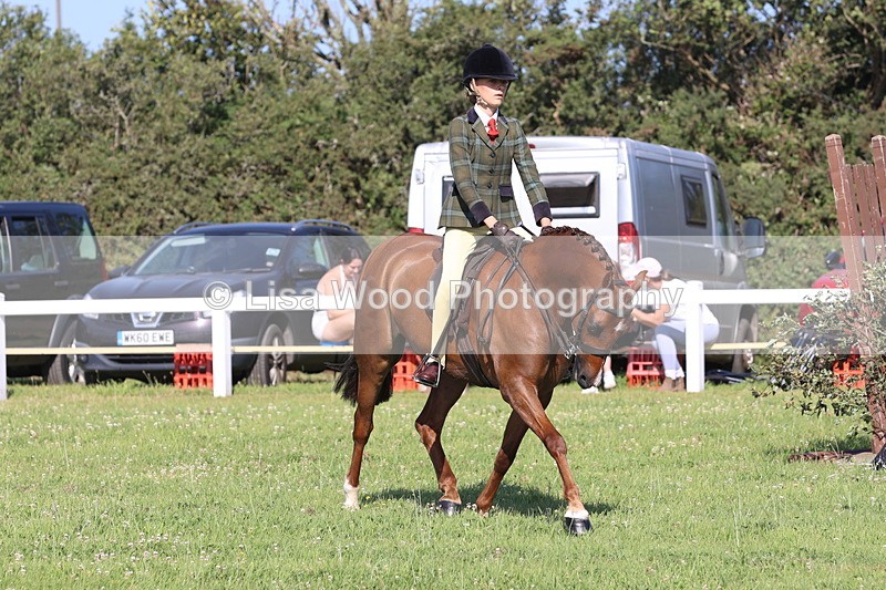 JPP_1494 - Class 18: Cornish Combination Young Rider