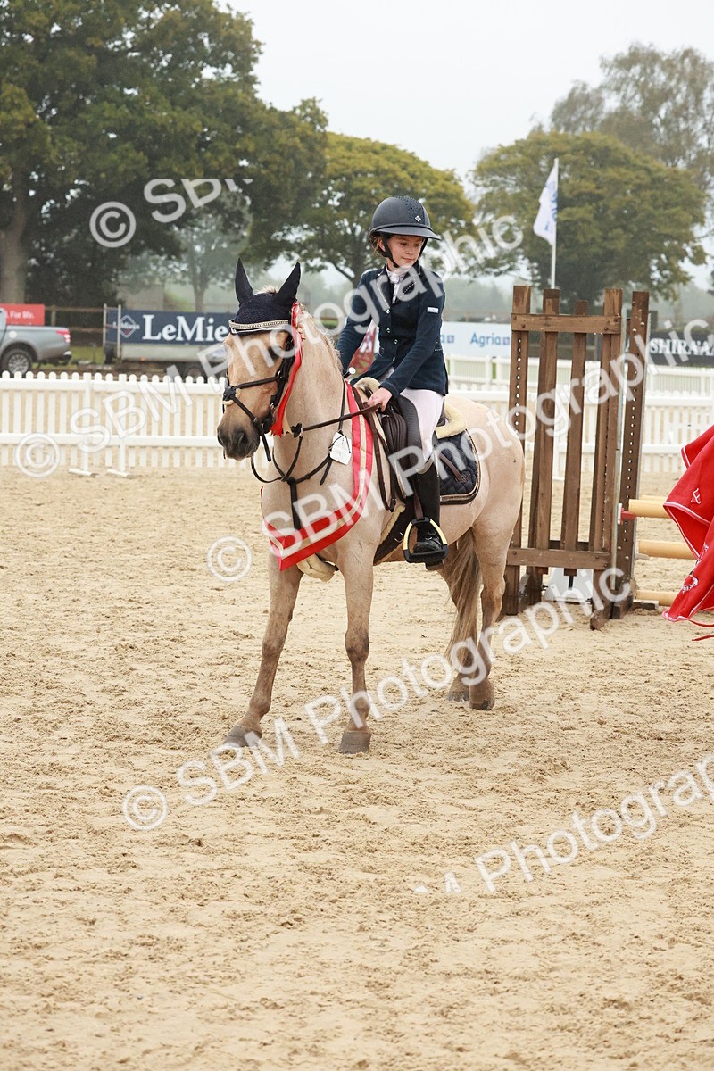 SBM_73509 - Supreme Championship Junior Pony 60cm & 65cm