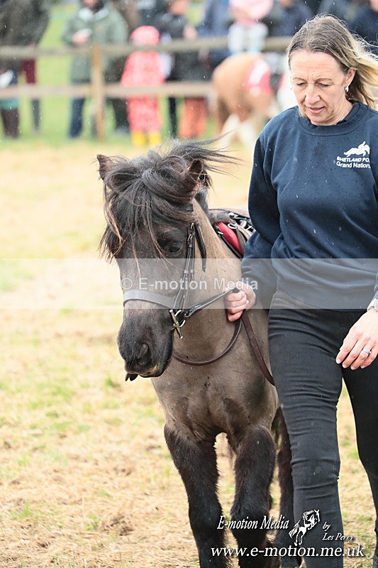SHETPR 210425 21 - Shetland Ponies Paxford Races 21/04/25