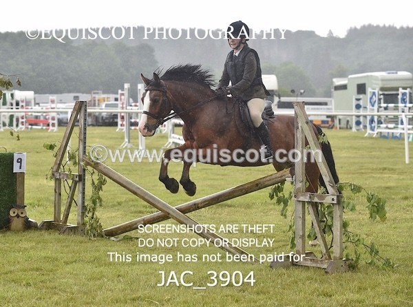 JAC_3904 - 55cm WORKING HUNTER