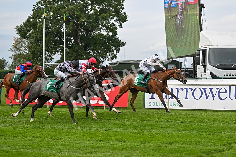 060925-Race 1-Dunkeld Dreamer-4184 - Race 1